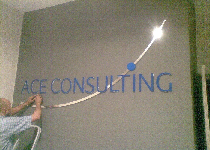 ACE consulting