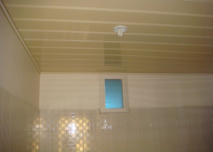 Faux Plafond en PVC