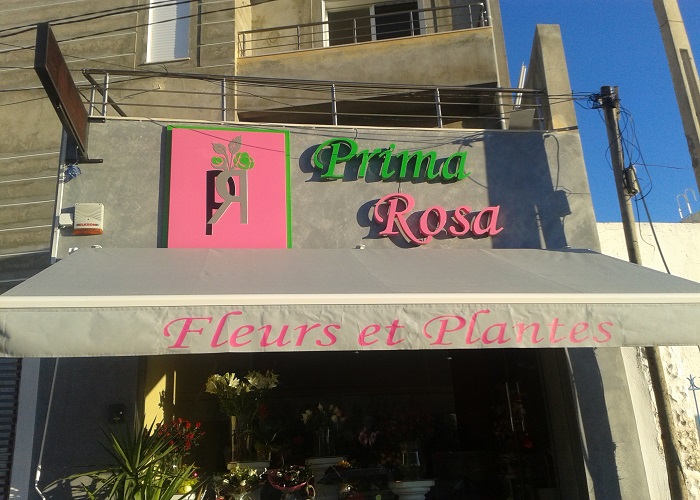 Prima Rosa